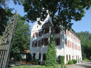 Отель Hotel Schloss Lehen GmbH&Co,KG  Бад-Фридрихсхалль